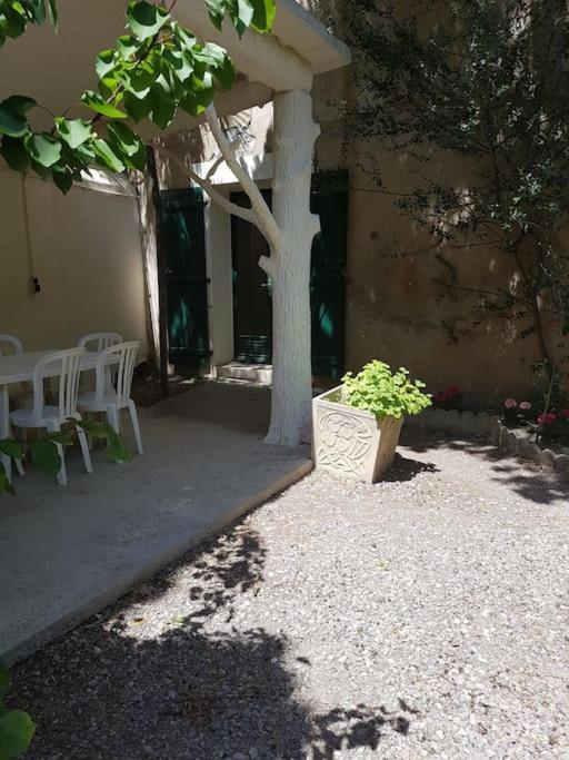 Sigean - Maison Domaine Viticole, 6 Km De La Mer エクステリア 写真